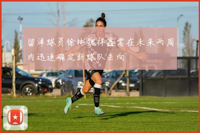 留洋球员徐彬魏祥鑫需在未来两周内迅速确定新球队去向